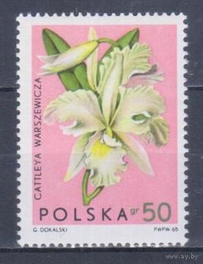 [1161] Польша 1964. Флора.Цветы.Орхидея. MNH