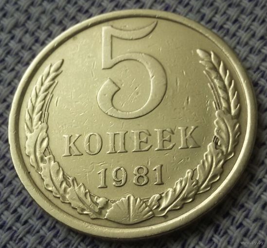 5 копеек 1981 года.