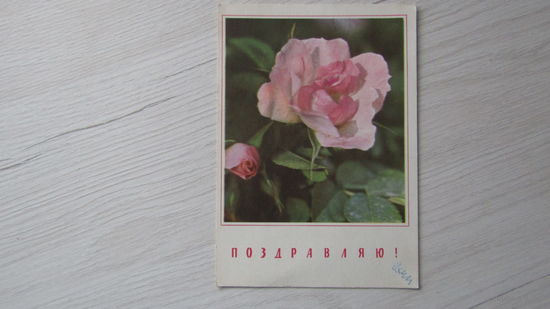 Открытка "Поздравляю!"