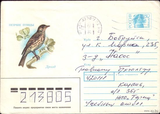 1992 год Дрозд