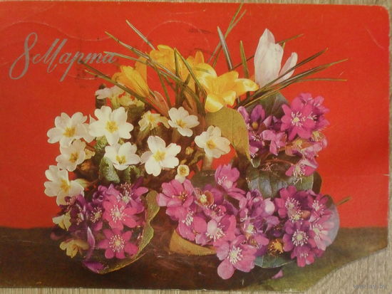 ПОДПИСАННАЯ ОТКРЫТКА СССР. ПРОШЕДШАЯ ПОЧТУ.  "8 МАРТА".ФОТО. Г. КОСТЕНКО. 1976 год
