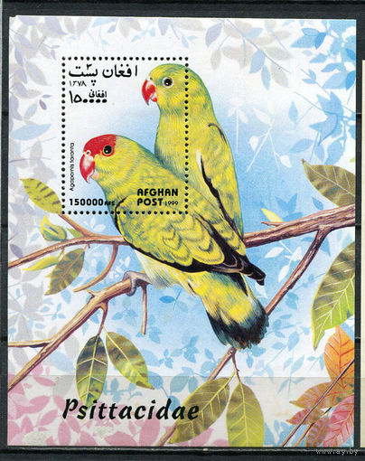 Афганистан - 1999 - Попугаи - (верхний угол поврежден) - [Mi. bl. 116] - 1 блок. MNH.  (Лот 37JN)-T4P2