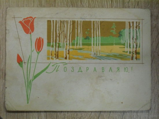 ПОДПИСАННАЯ ОТКРЫТКА СССР. "ПОЗДРАВЛЯЮ" ХУД. З. Я.  ШАРОВА. 1963 ГОД.