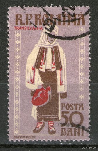 Румыния. Михель- 1742. Гашеная.