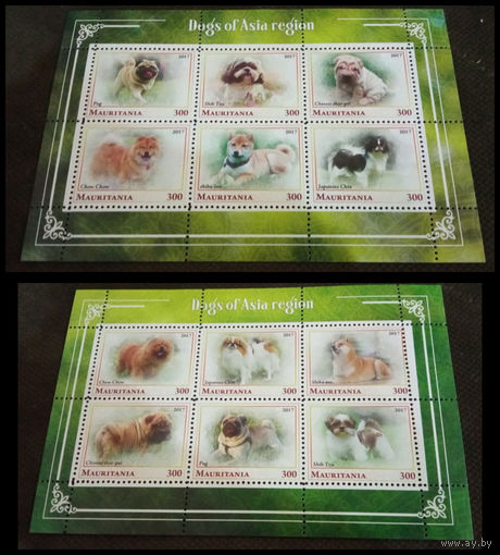 СЕРИЯ Блоков кошки собаки тигры  фауна  MNH