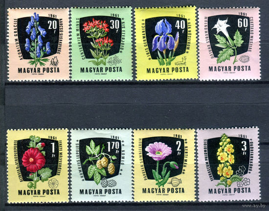 Венгрия - 1961г. - Лекарственные растения - полная серия, MNH, 2 марки с жёлтыми пятнами на клее, одна с маленьким жёлтым пятнышком на лицевой, 3 с трещинками на клее, 2 с отпечатками на клее [Mi 1799