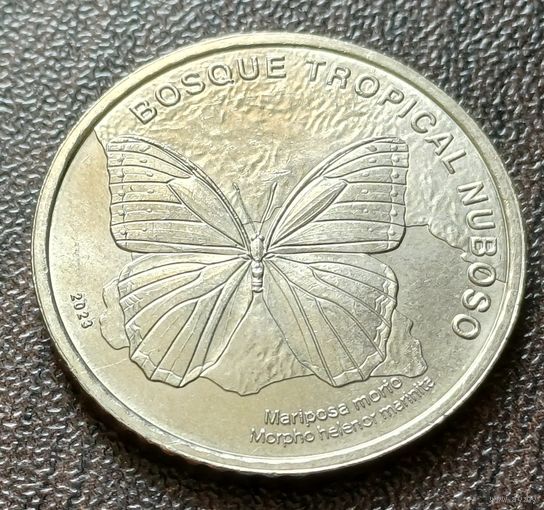 Коста-Рика 50 колонов, 2023  Бабочка рода Морфо  ( 2-8-1 )