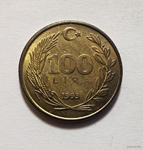 Турция 100 лир, 1993