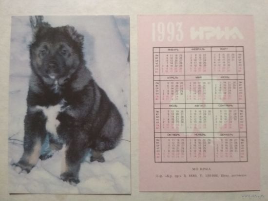 Карманный календарик. Собака. 1993 год
