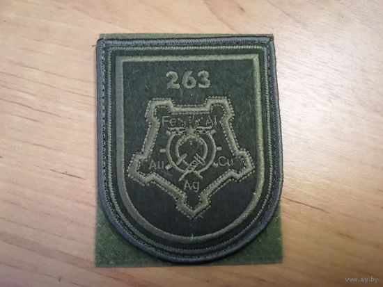 Шеврон 263 БХРУСС ВС РБ (полевой)