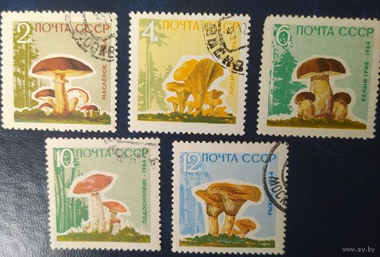 СССР 1964 грибы.