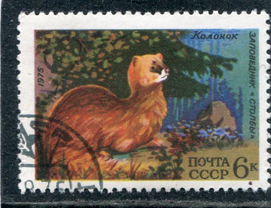 СССР 1975.. Фауна. Колонок