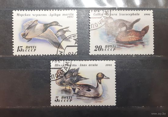 СССР. 1991 год. Фауна. Птицы. Утки (424)