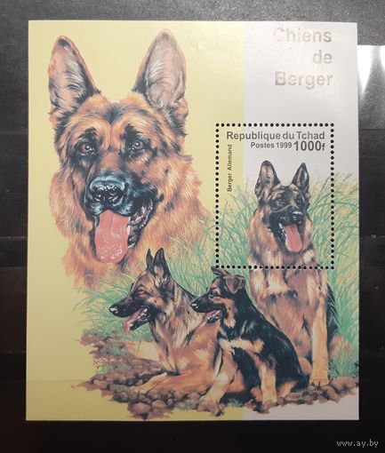 Чад. 1999 год. Фауна. Собаки. Блок (604)