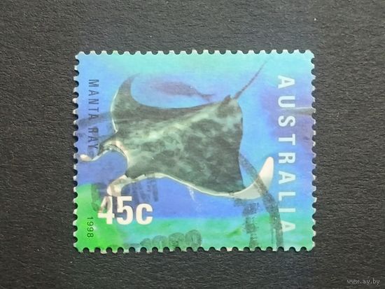 Австралия 1998. Морская жизнь. Манта