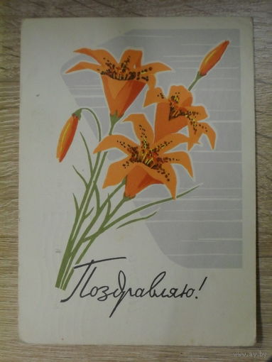 ПОДПИСАННАЯ ОТКРЫТКА СССР. "ПОЗДРАВЛЯЮ" ХУД. Н. К.  КУТИЛОВ. 1963 ГОД.