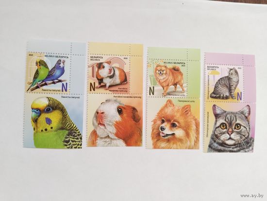 Беларусь 2025 4 м +4 куп.