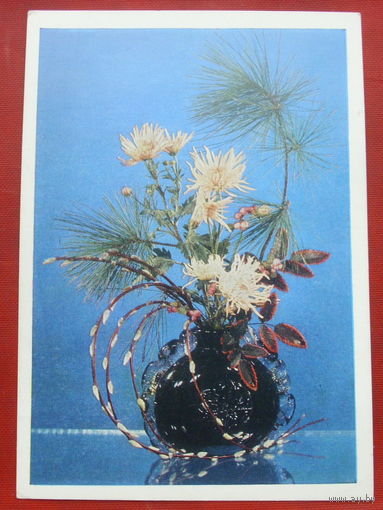 Цветы. Чистая. 1974 года. Фото Лисецкого. *38.