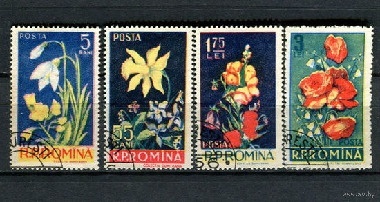 Румыния - 1956 - Цветы - [Mi. 1589-1592] - полная серия - 4 марки. Гашеные.  (Лот 183AM)