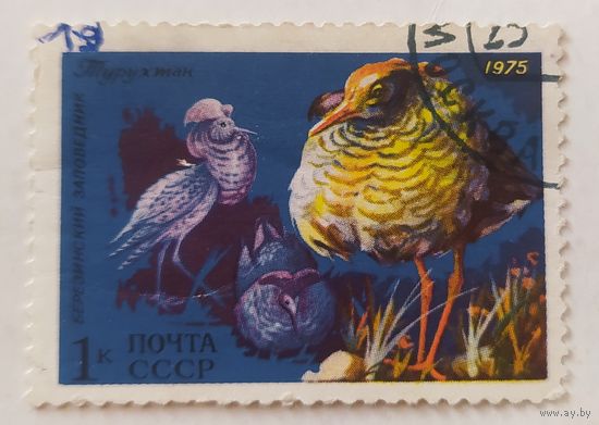 СССР 1975, птицы