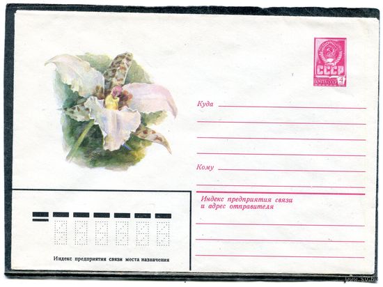 СССР 1981. ХМК. Конверт. Цветы. Орхидея одонтоглоссум росса