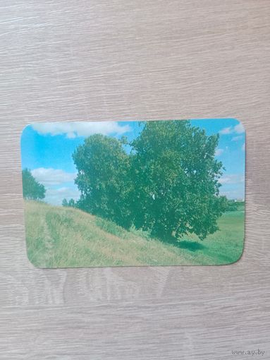 Календарик 1989