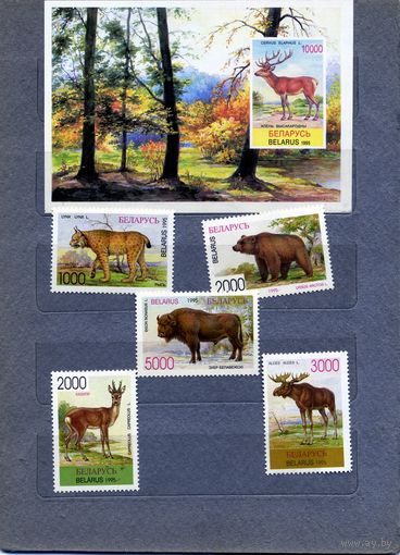 Беларусь, 1995,  ФАУНА БЕЛАРУСИ     серия 5м + почт. блок