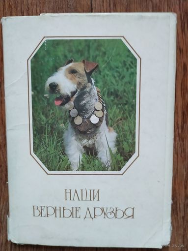 Набор открыток Наши верные друзья