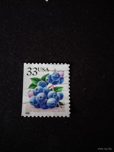 США   1999