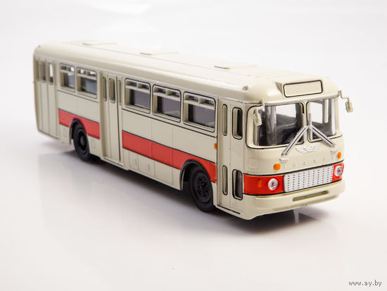 Наши Автобусы 38, Икарус-556 Большие амбиции
