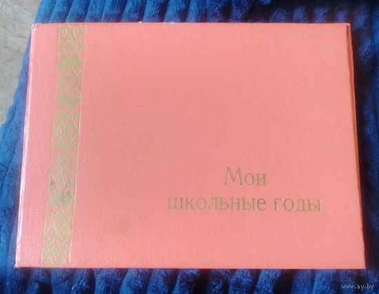 Папка "Мои школьные годы".