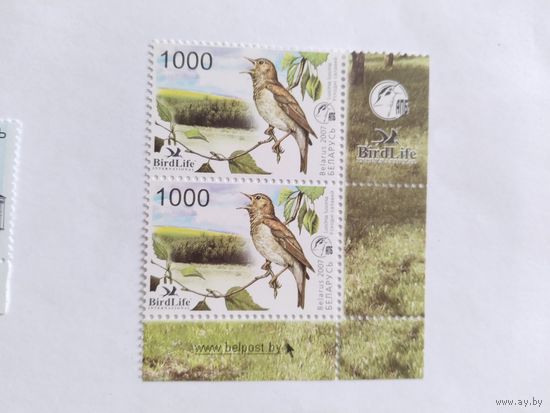 Беларусь 2007 птица года--соловей