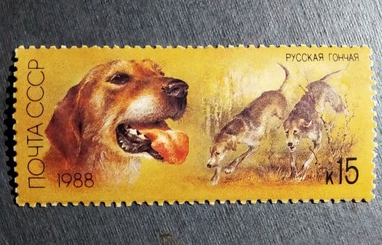 Марка СССР 1988 год Собаки