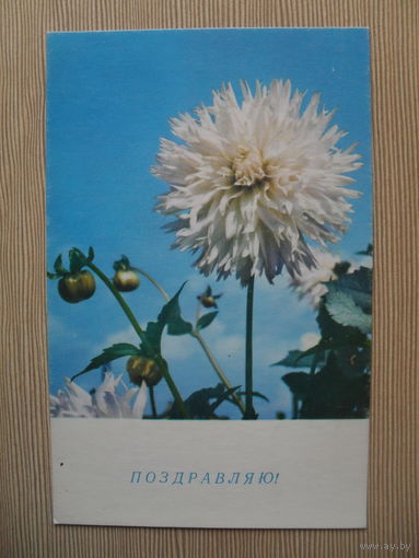 ПОДПИСАННАЯ ОТКРЫТКА СССР. 1967 ГОД. "ПОЗДРАВЛЯЮ!" худ. К. РЫКОВА.