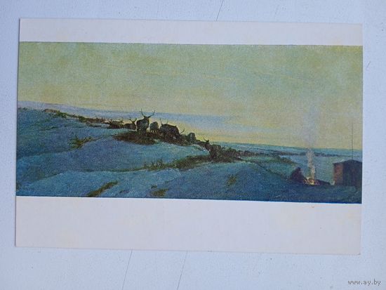 1952. Ряузов. Тундра весной. Стадо оленей