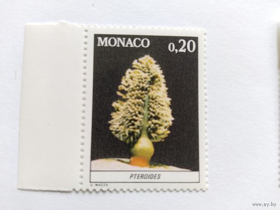 Монако 1980