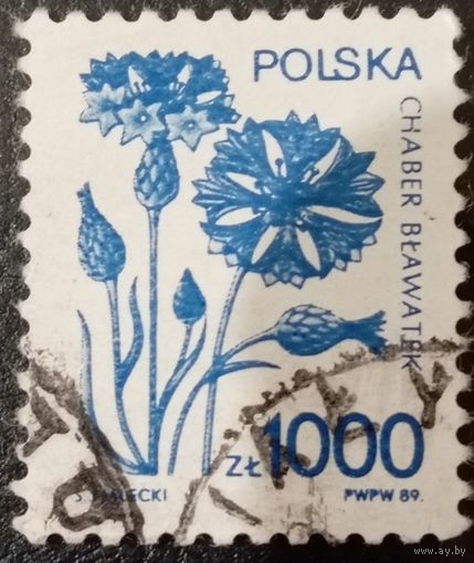 Польша 1989. Флора. Chaber Blawatek