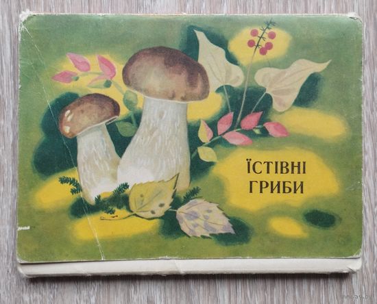 Набор открыток УССР. Съедобные грибы. 1972 г/в.