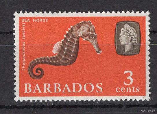 Барбадос 1965** Морской конек SG#324