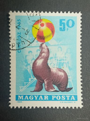 Венгрия 1965. Цирк