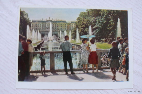 Петергоф. Большой дворец и Большой канал; 1963, чистая (ИЗОГИЗ).