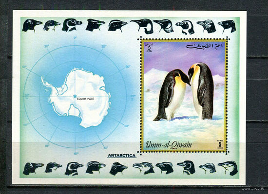 Умм-эль-Кайвайн - 1972 - Пингвины - [Mi. bl. 51] - 1 блок. MNH.  (Лот 89HS)-TG3P13