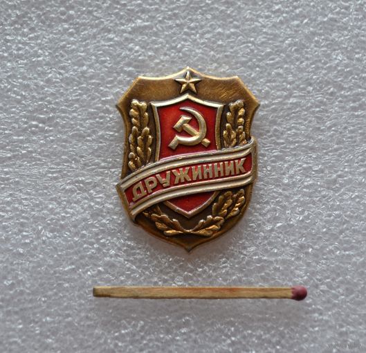 Дружинник.
