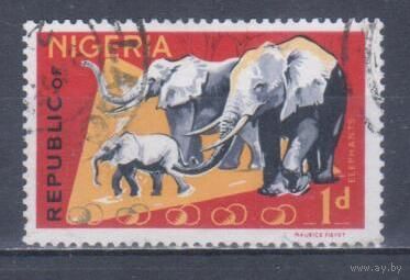 [2298] Нигерия 1965. Фауна.Африканский слон. Гашеная марка.