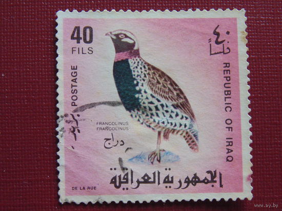 Ирак 1968 год. Птицы.