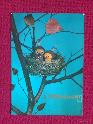 С Новосельем! Шера 1981 г. Чистая.