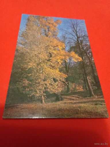 Календарик 1981г.