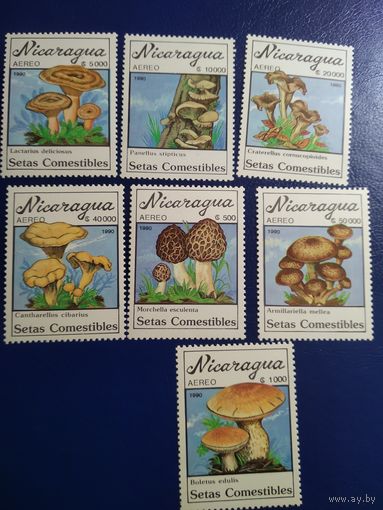 Никарагуа 1990г. Грибы.