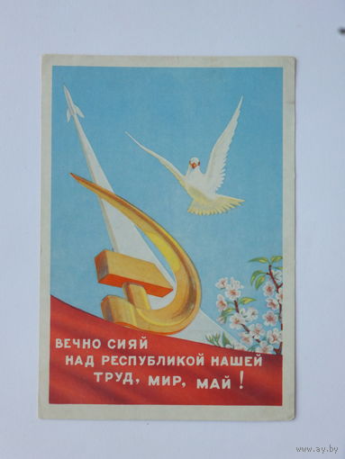 Симоненко 1 мая открытка БССР 1962   10х15 см