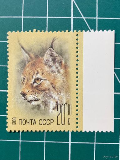 СССР 1988 Животные зоопарков. Почтово-благотворительный выпуск в Фонд помощи зоопаркам. 428